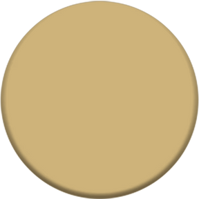 Retique It Sugar Pine Chalk Paint color swatch.